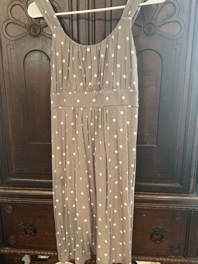 Ann Taylor Petite Taupe Dress with White Polka Dots